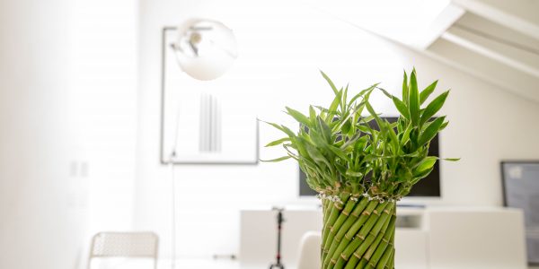 Reformas de clinicas sevilla