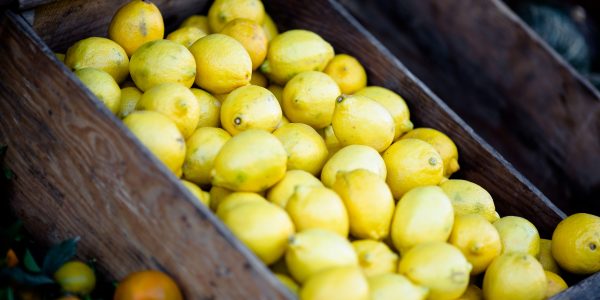 dietas personalizadas sobrepeso cadiz