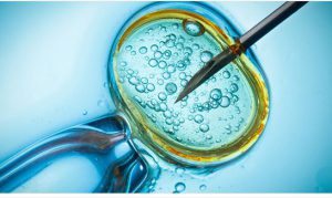 Reproducción asistida y fecundación in vitro: ¿qué debes saber?